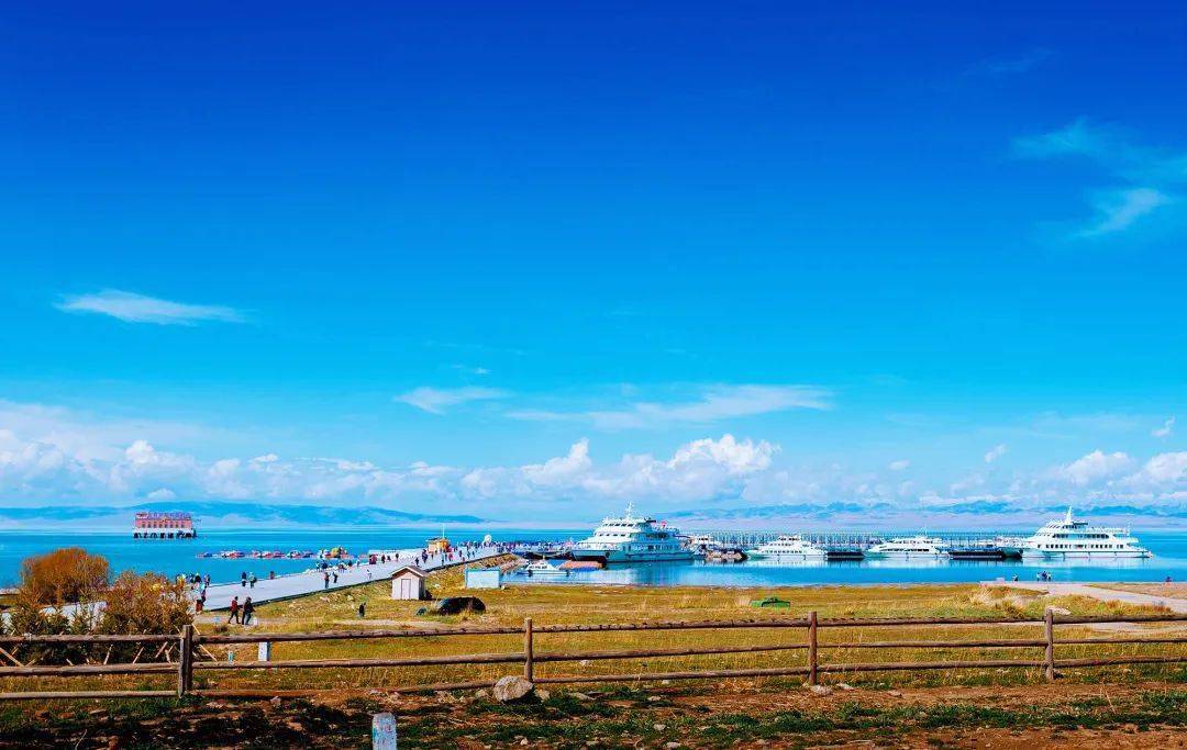 青海阳光下的温馨日常