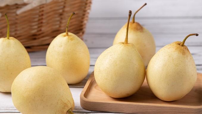 衡水之美,探寻衡水韵味之旅